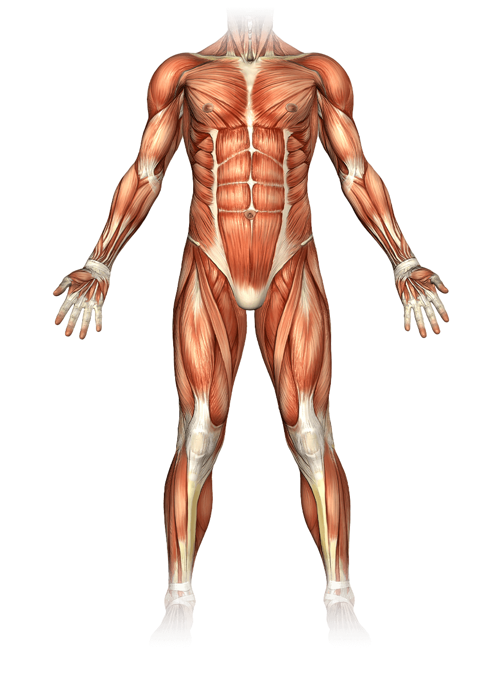 Interactive Image